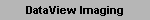 DataView Imaging