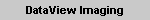 DataView Imaging